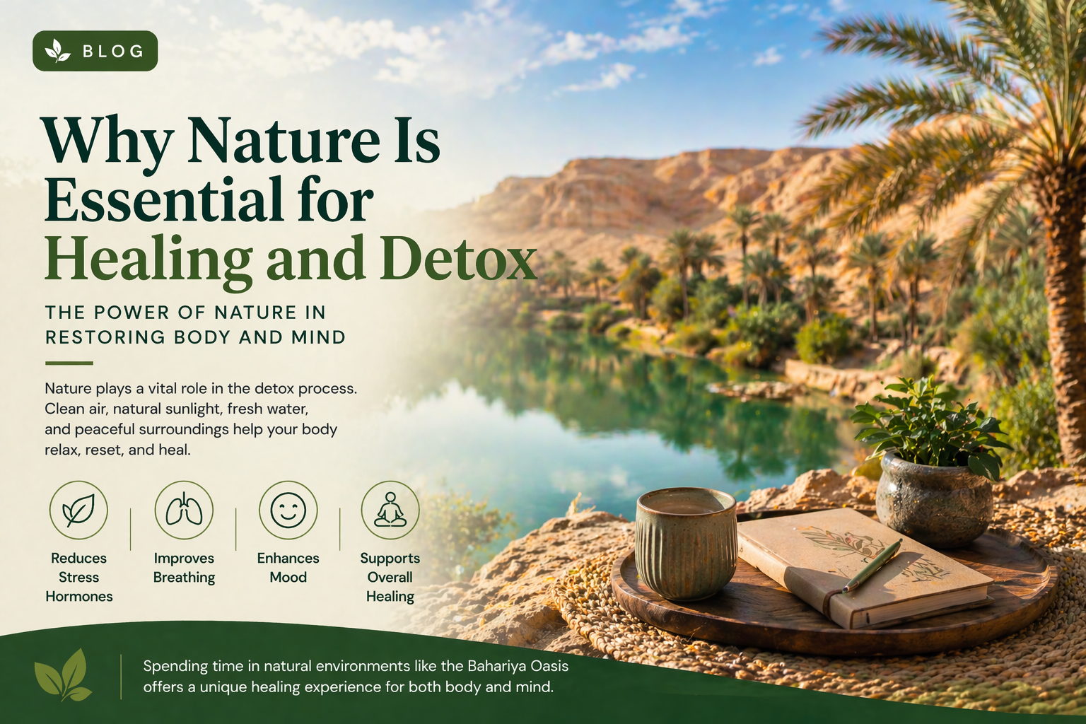 Why Nature Is Essential for Healing and Detox